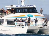 Whale Watching Hervey Bay - Whalesong