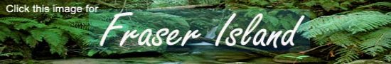 Click image for Fraser Island Tours and Accommodation