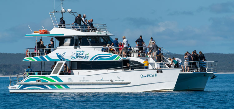 Humpback Whale Watch Tour Quick Cat