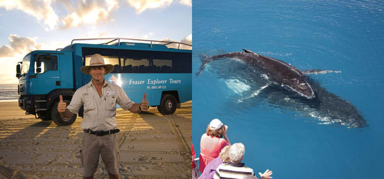 Tasman Venture whale watch and Unique Fraser